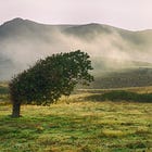 What You Don't Know About Family Estrangement