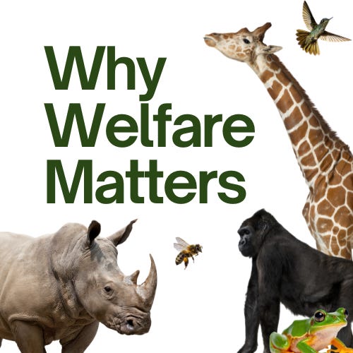 Why Welfare Matters