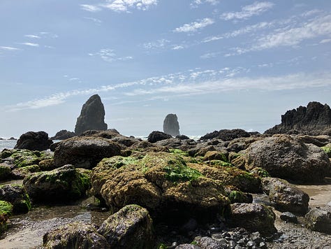 Haystack Rock, Cannon Beach, tide pools
