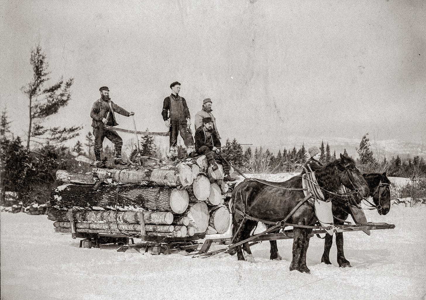 Loggers