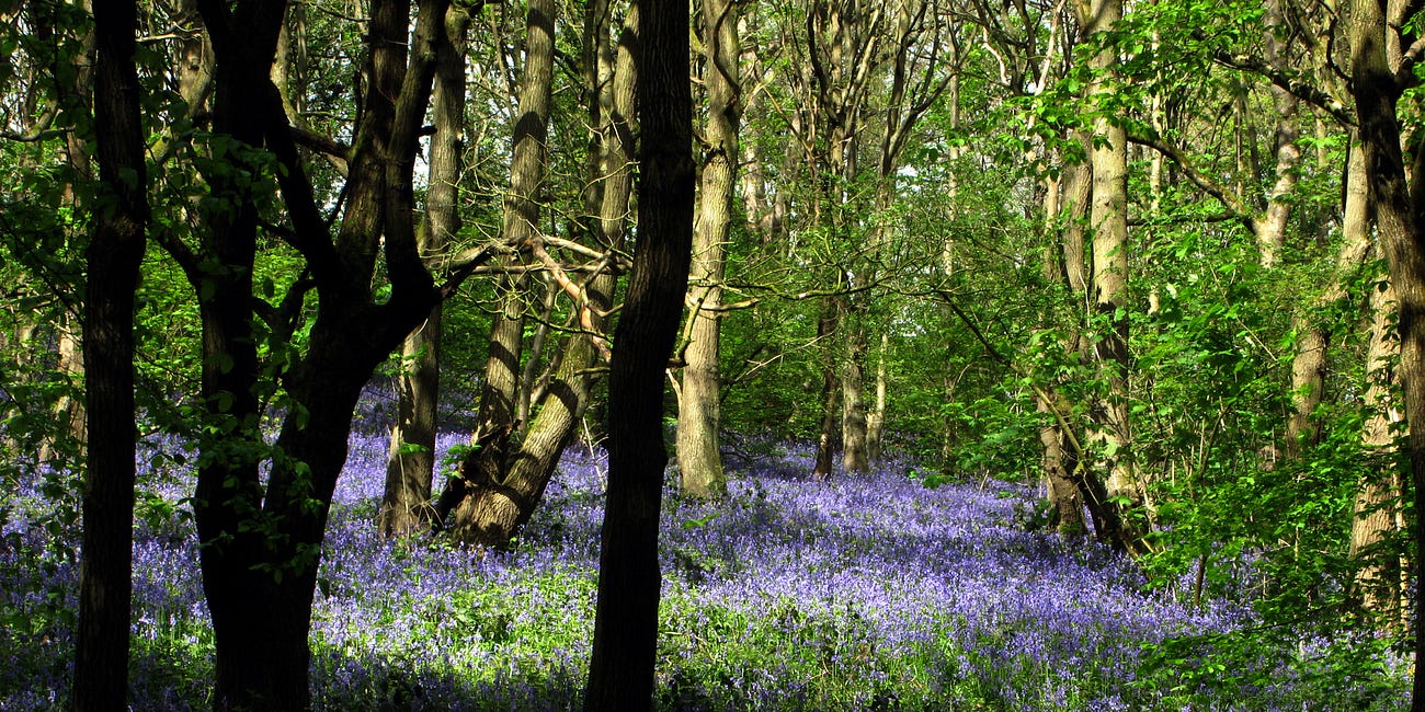 A Kind of Blue: 30th April