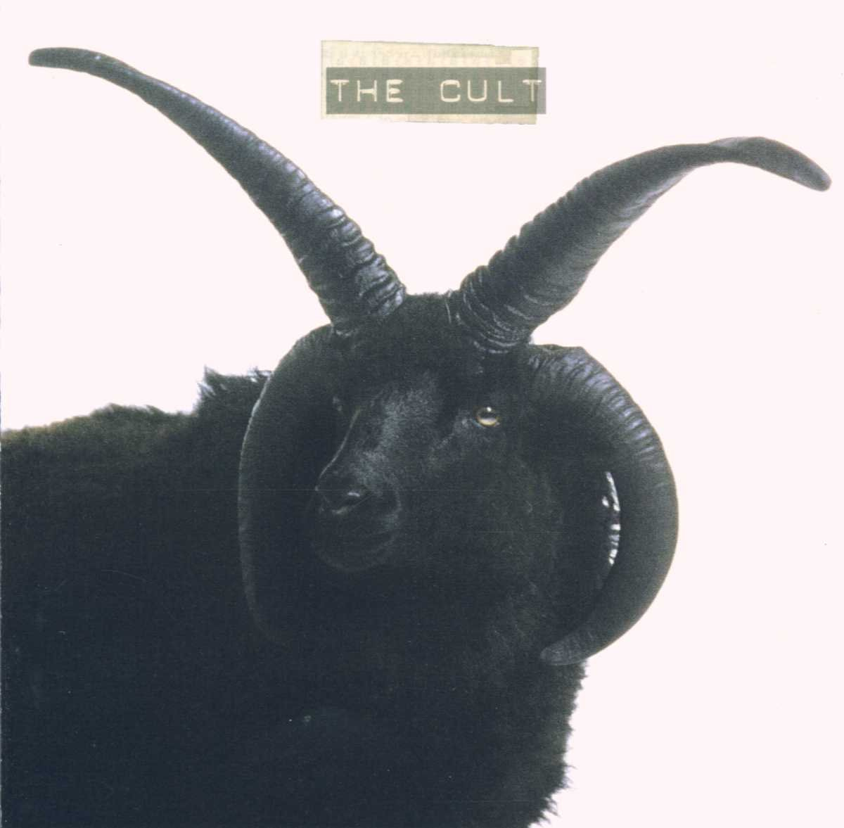 The Cult: Cult: Amazon.es: CD y vinilos}