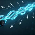 Buchdialoge 📚 Zusammenfassungen per Podcast