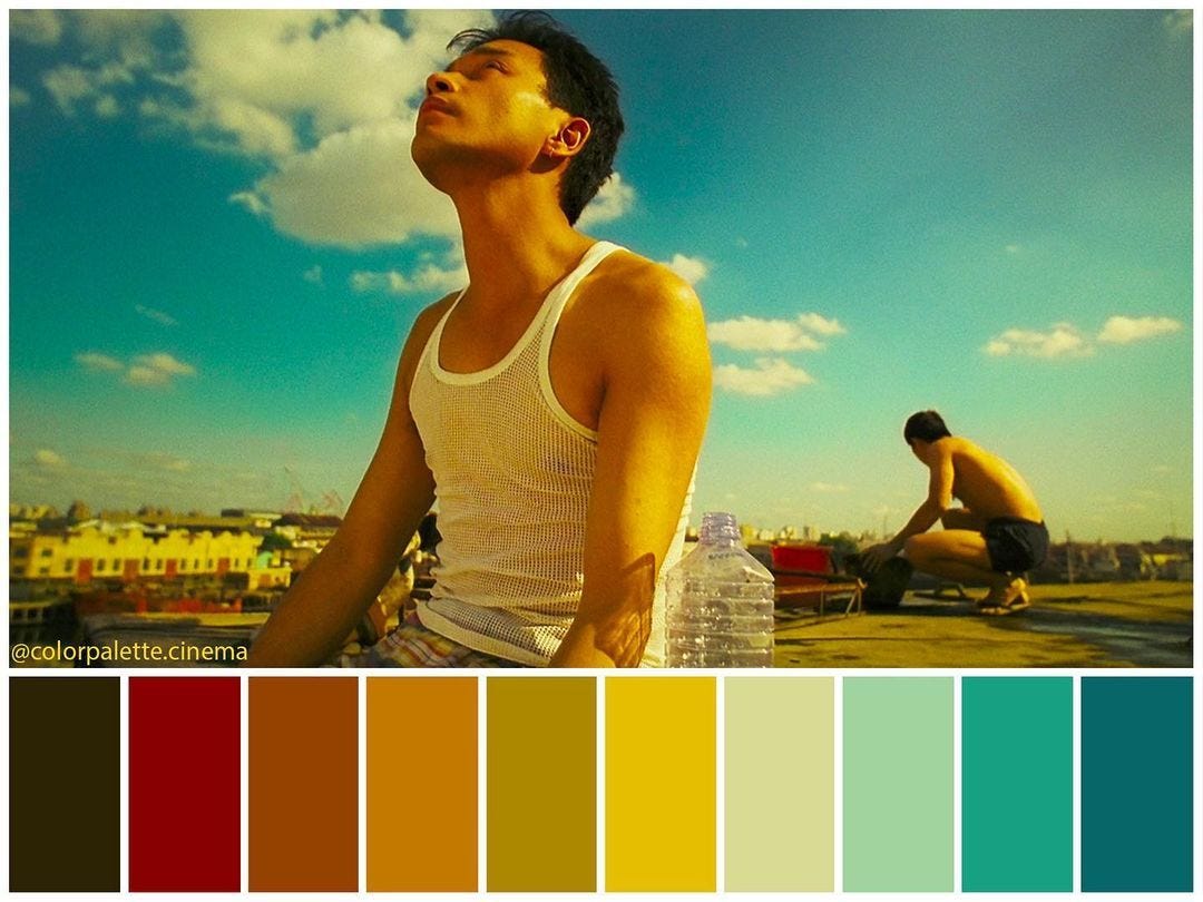 Color Palette Cinema on Instagram: “: “Happy Together” (1997). •Directed by Wong  Kar-Wai •Cinematography: Chri… | Movie color palette, Cinema colours, Color  in film