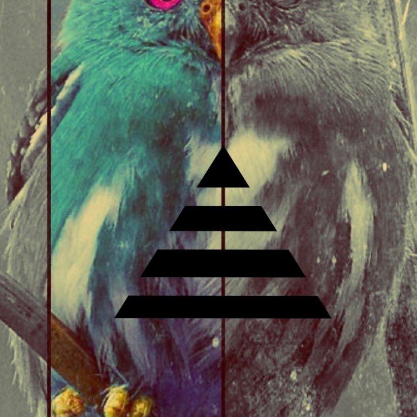 Return from the Blackwoods