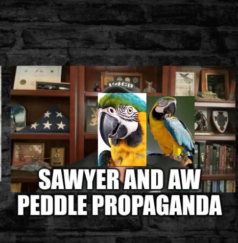 Craig Sawyer Pathetic Propagandist