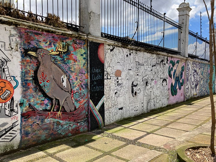 On the left is a close up of the trunk of a cork tree showing knobbly bumps and grey and brown bark. On the right is a long wall filled with street art murals including a brown bird which is the national bird of Costa Rica