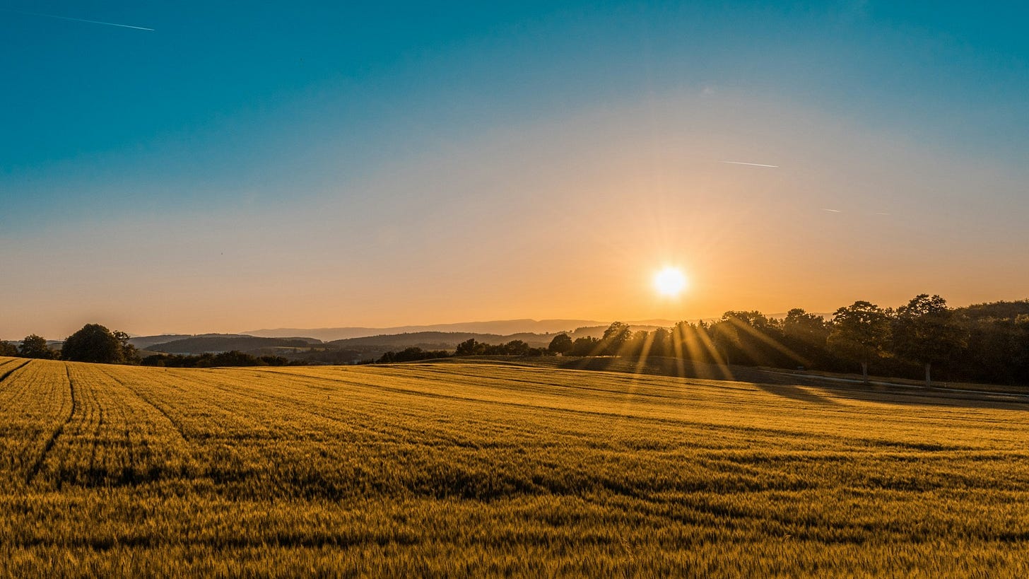 North Carolina's Battle to Protect American Farmland from Adversarial Nations