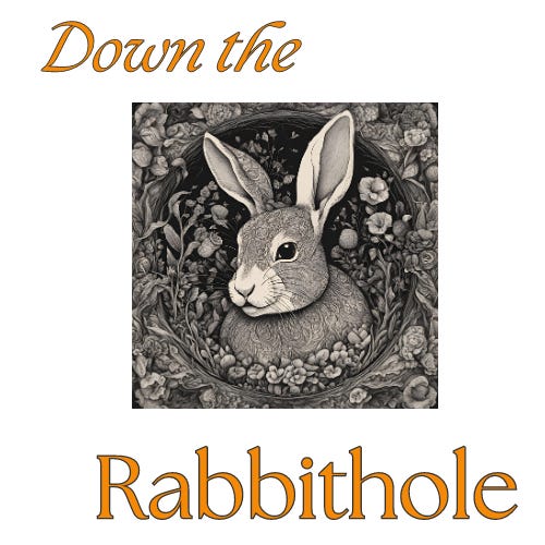 Down the Rabbithole with Susan B Nolen