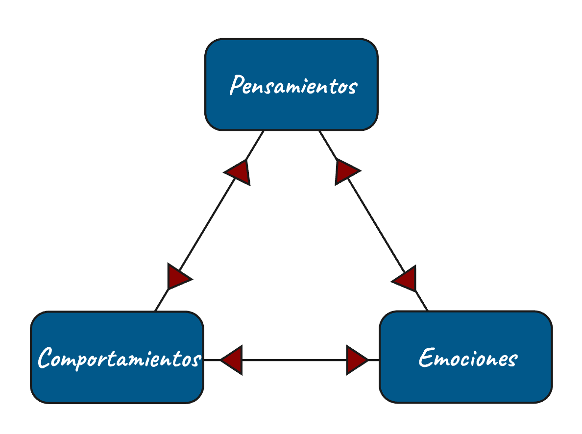 ciclo de pensamiento