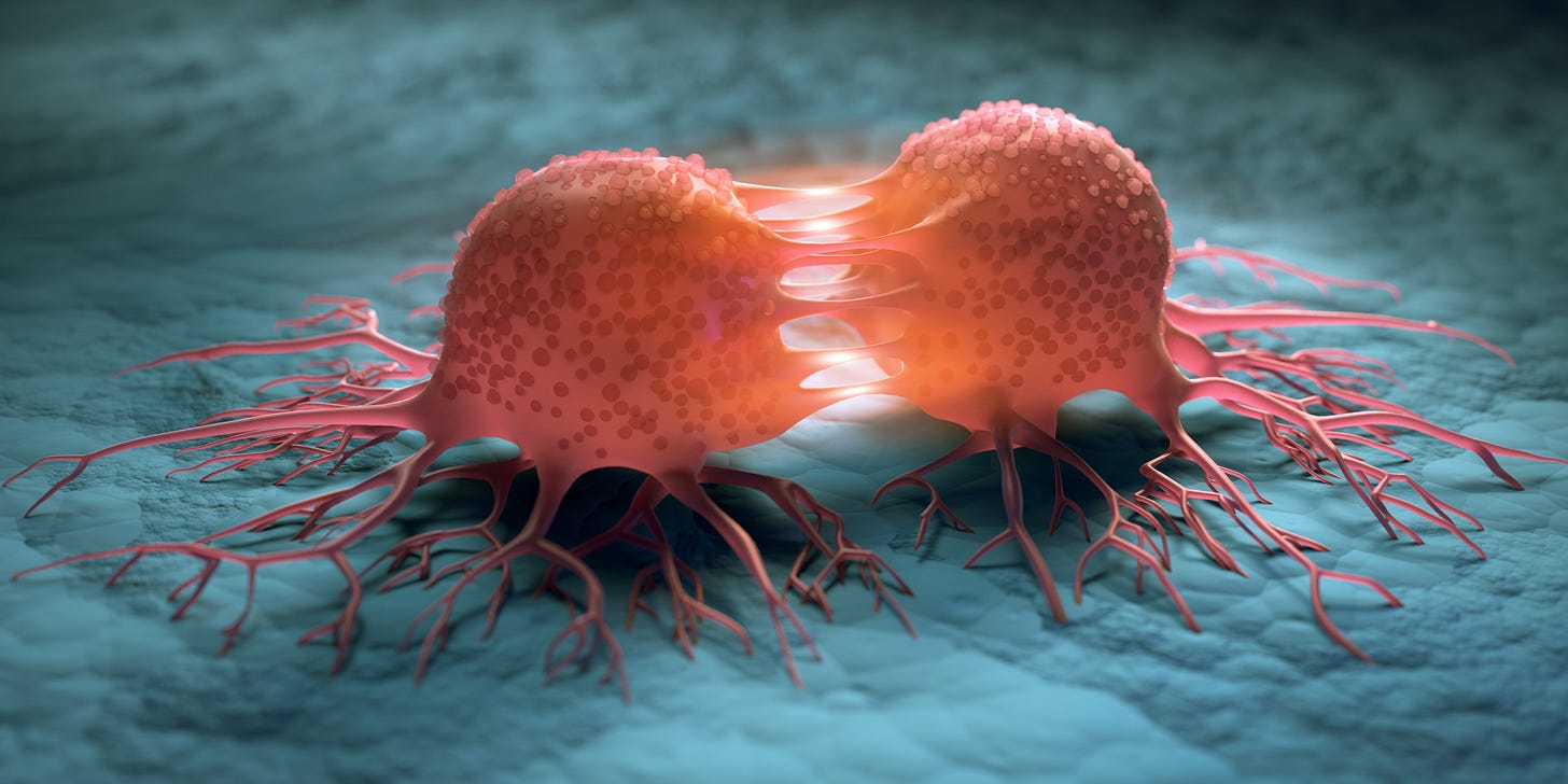 The World's First Digital Model of a Cancer Cell