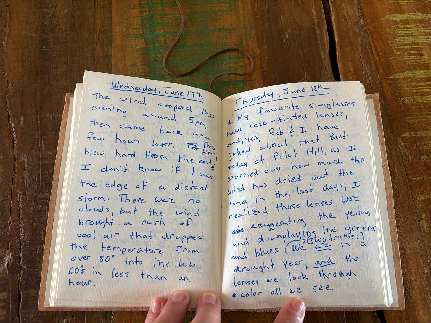 Image of handwritten journal (text transcript below)