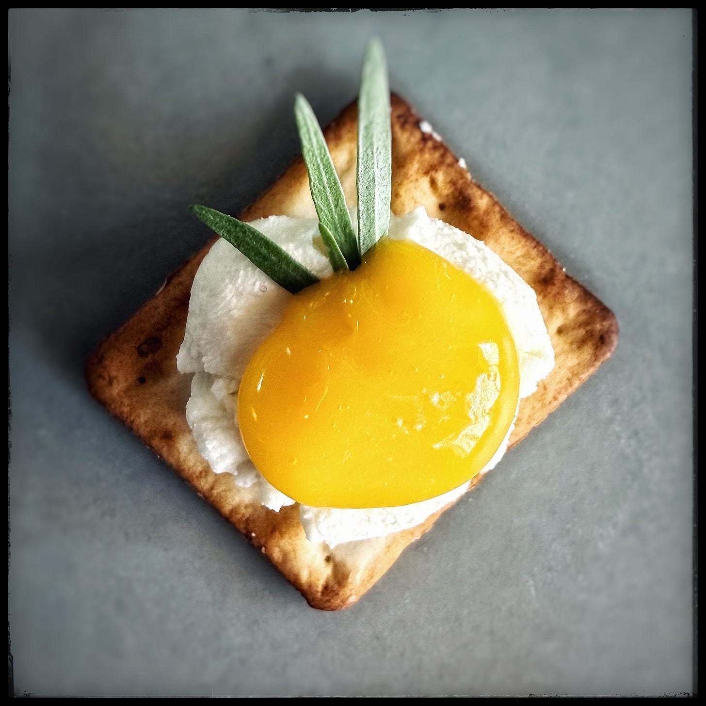 Lemon curd and goat cheese on a cracker with a little tarragon garnish because I was feeling fancy. 