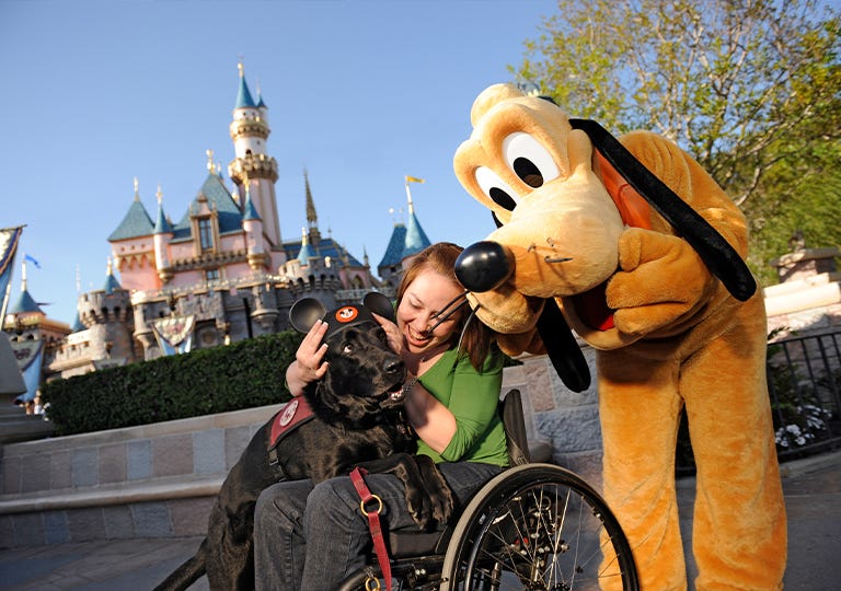 Disney World Disability Accommodations