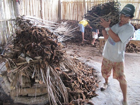 pots of salt, coconut husks preparation and the final asin-tibouk salt "egg"