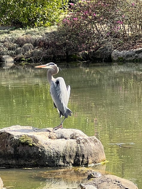images from the birmingham botanical gardens
