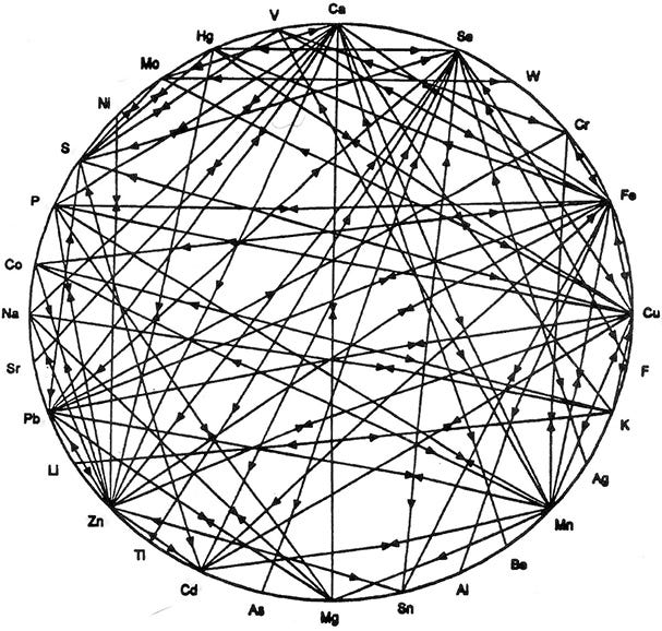 THE MINERAL WHEEL – Earthwise Agriculture