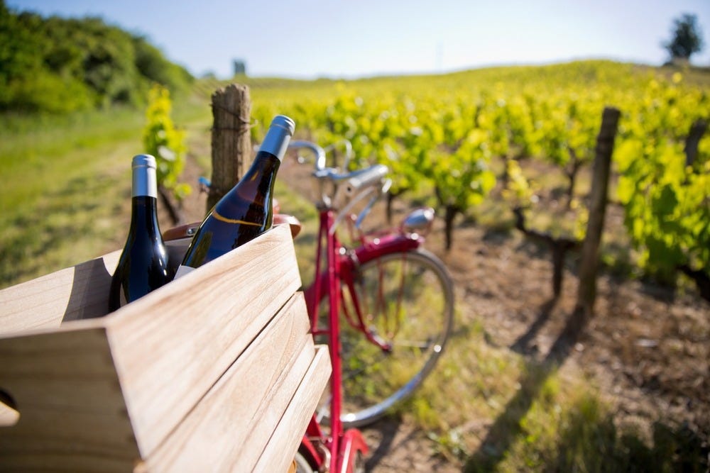 Wine bottles in a bike basket near vineyards
