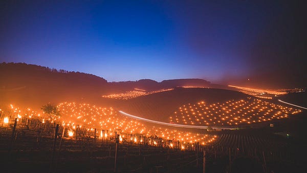 Merci Titouan Rimbault pour cette photographie réalisée à Chablis.