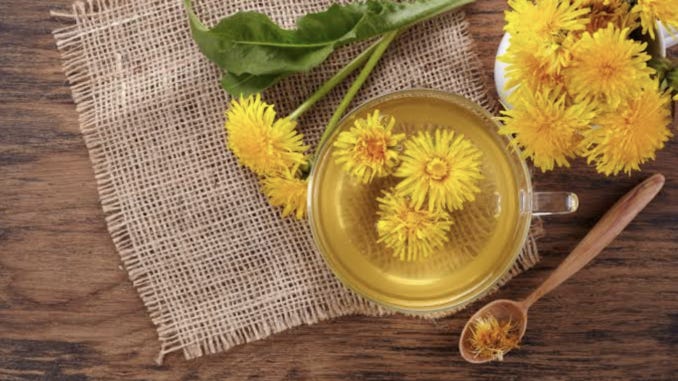 tuzarapost.substack.com - Joe Tuzara, M.D. @TuzaraPost - 'Miracle Weed' Eliminated 95% of Cancer Cells in Clinical Trials with Zero Toxicity - Until Big Pharma Buried It