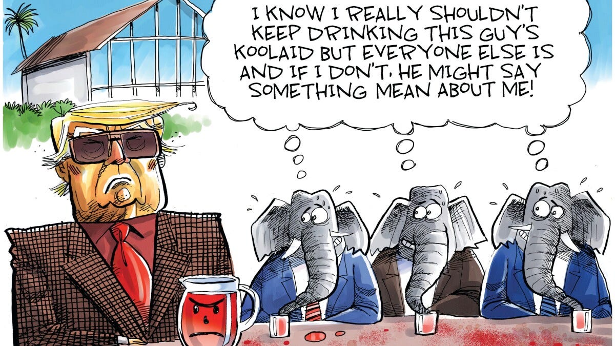 Minnesota Opinion: GOP congress members' unwavering support for Trump continues to disturb - West Central Tribune | News, weather, sports from Willmar Minnesota Minnesota Opinion: GOP congress members' unwavering support for Trump continues to disturb - West Central Tribune | News, weather, sports from Willmar Minnesota