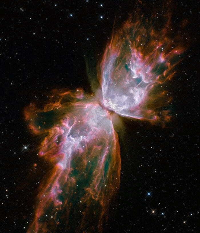 Butterfly emerges from stellar demise in planetary nebula NGC 6302 Butterfly emerges from stellar demise in planetary nebula NGC 6302