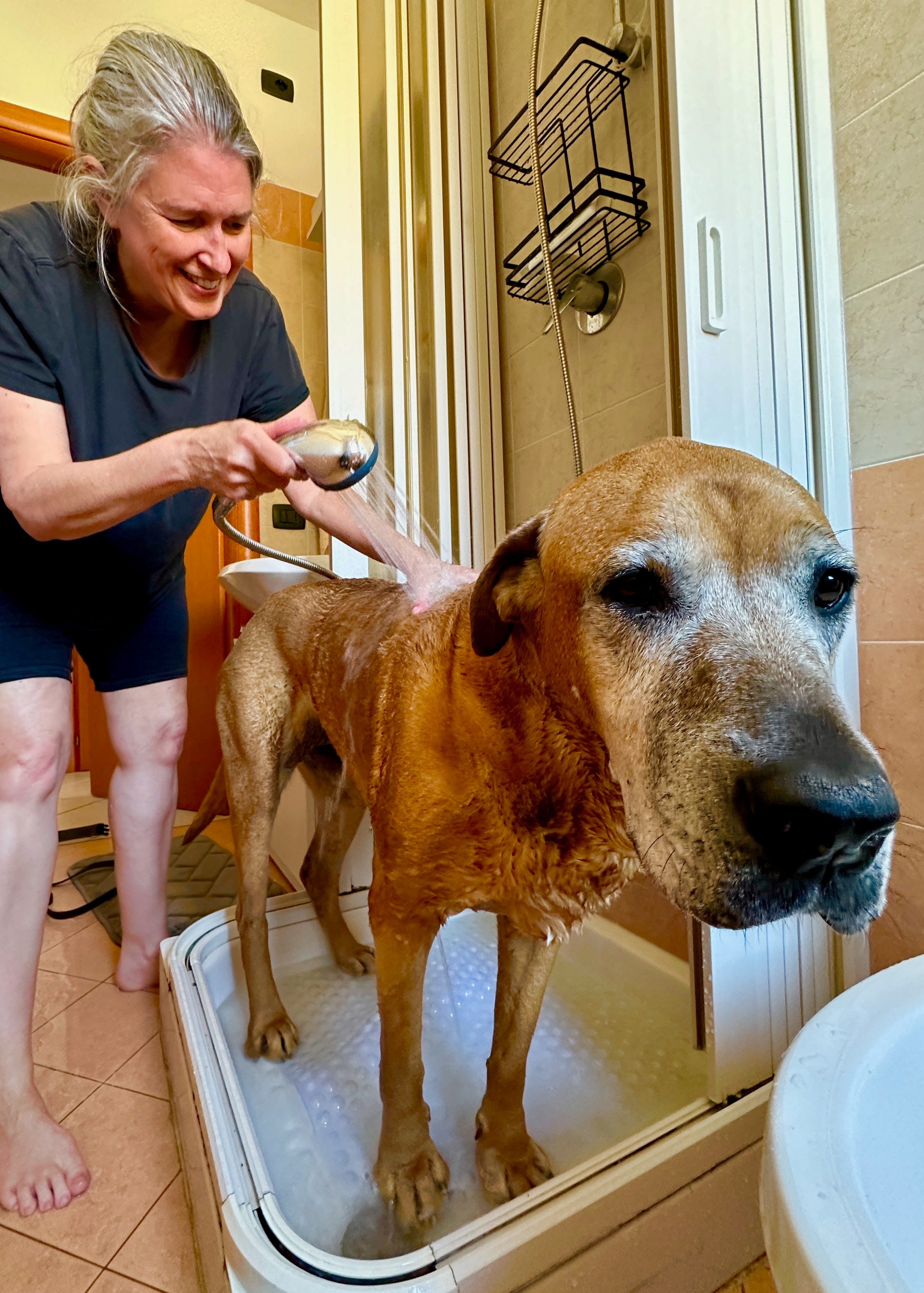 Shower Sent The Long Goodbye to the Shower from Hell