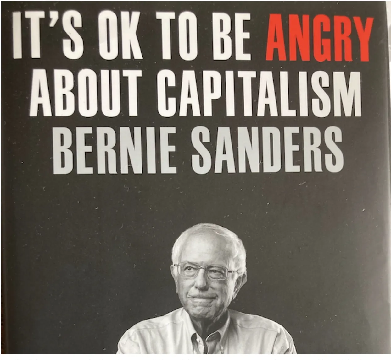 Bernie proposes to seize half-ownership of large AI firms