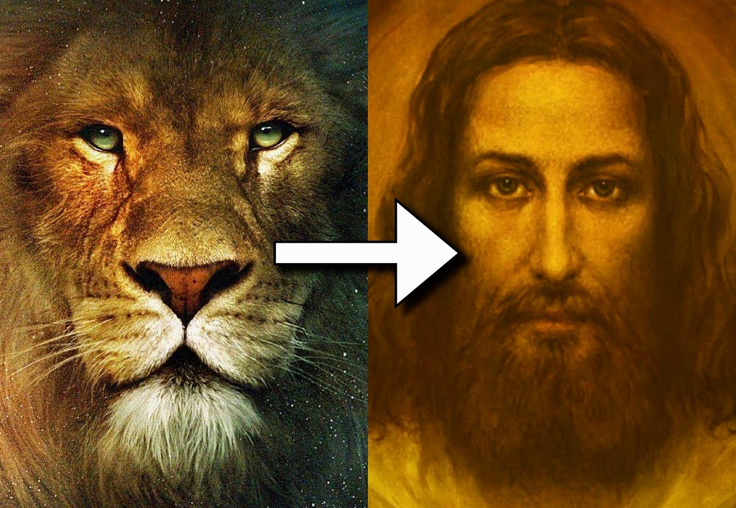 The True Meaning of Narnia