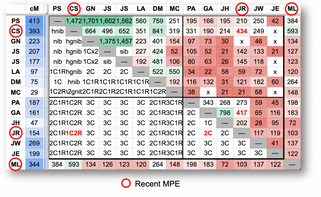 Cluster matrix of some of Midge's paternal matches.