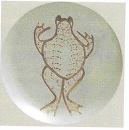 A person holding a vase and a plate

AI-generated content may be incorrect.