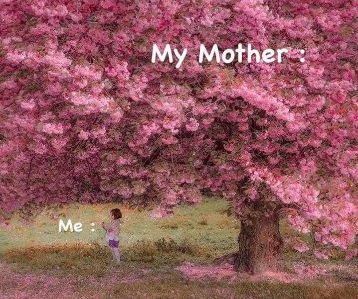 This may contain: a child standing under a pink tree with the words, my mother on it's side