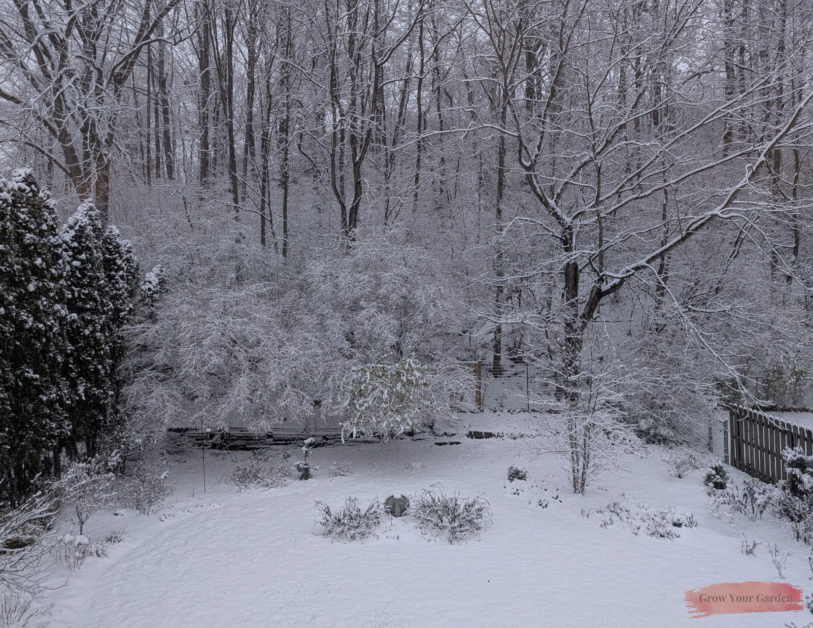 Preparing the Garden for Winter - by Perrico Gardens