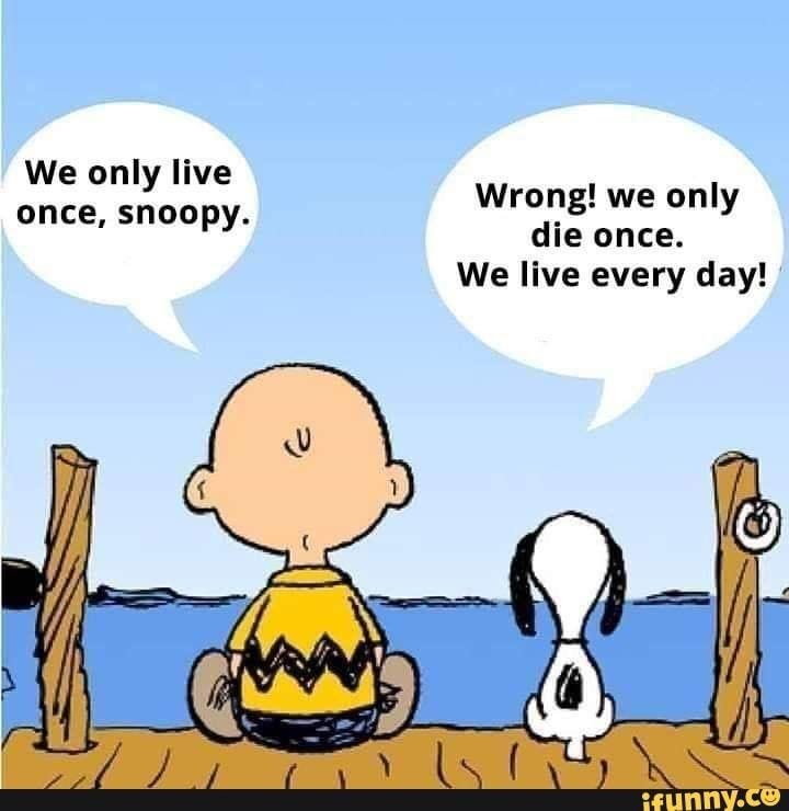 We only live once, snoopy. Wrong! we only die once. We live ... We only live once, snoopy. Wrong! we only die once. We live ...