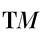 The Momentum Thesis