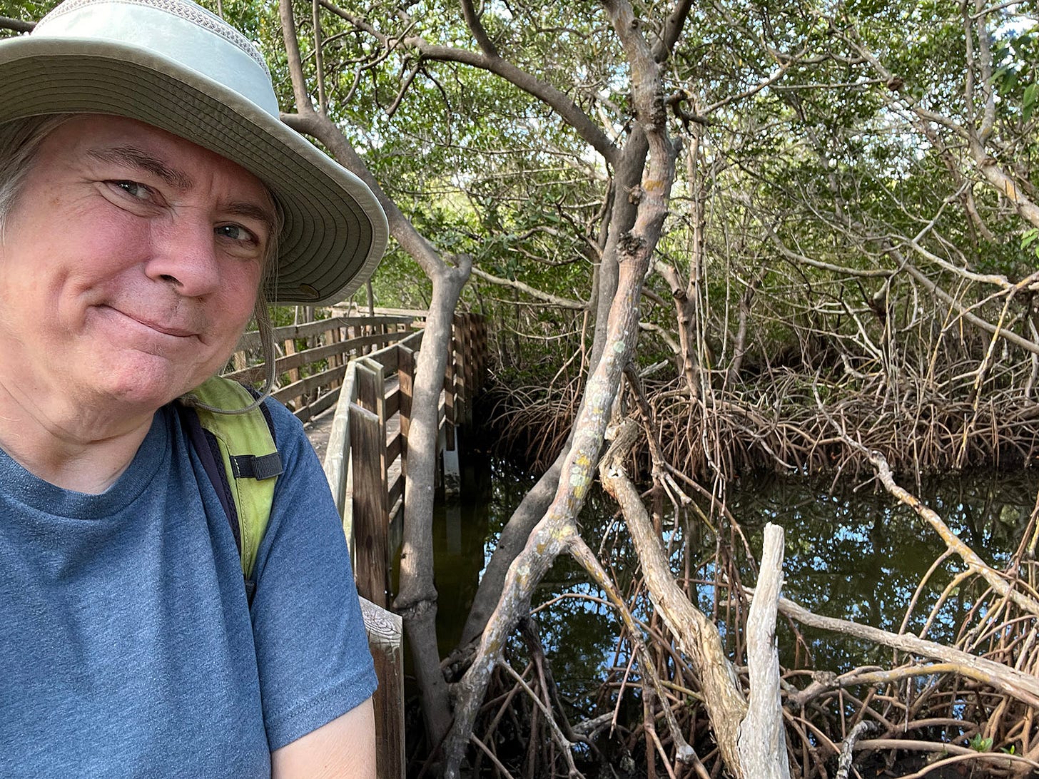 The author in front of a boardwalk next to a jungle of red mangrove trees