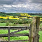 Fieldnotes (I)