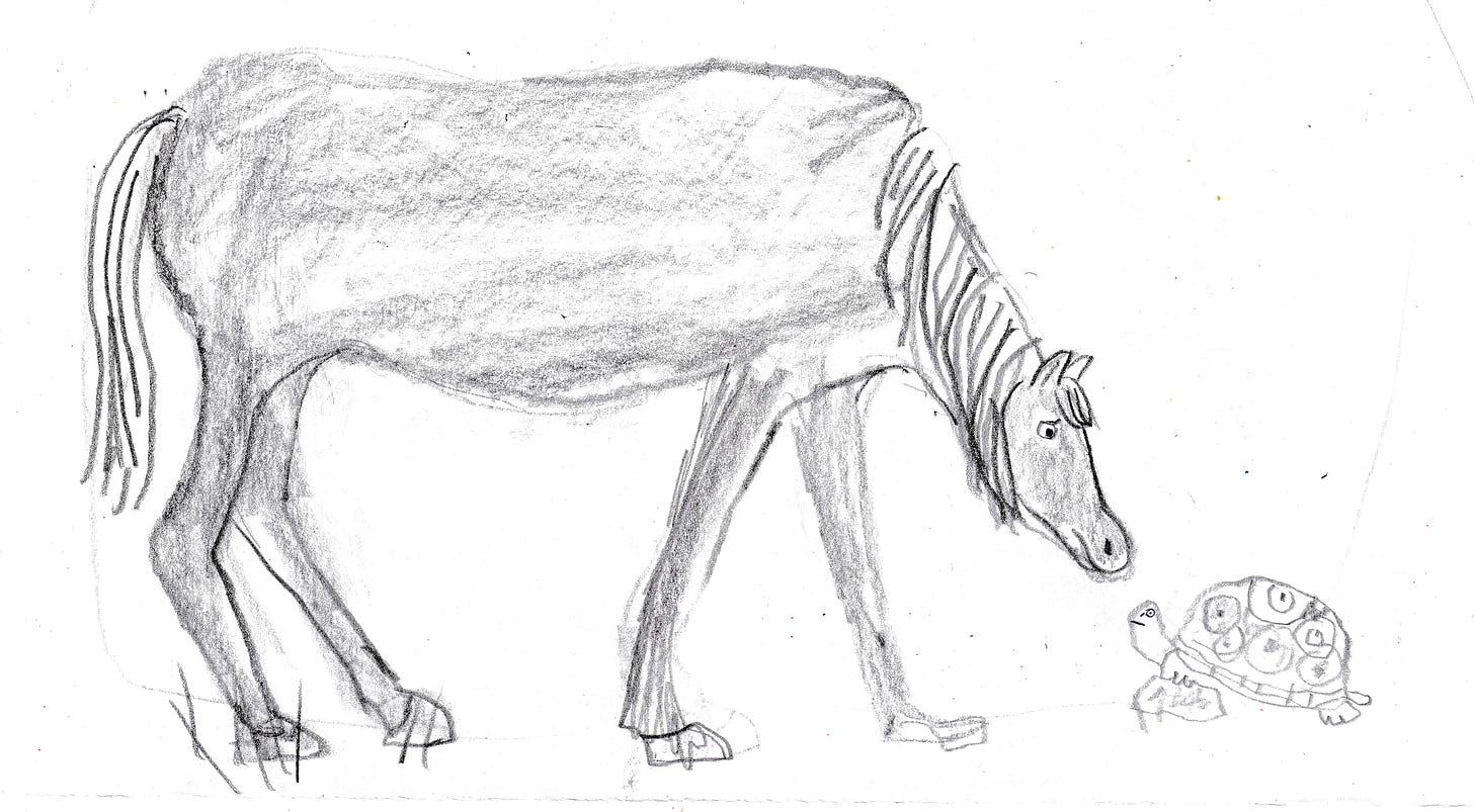 horse and turtle sketch by Beth Spencer