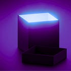 The PCR Black Box: Positive Tests Rely on Unverified Primers That Could Be Wrong