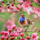 My daily routine is going great! (Part 3)