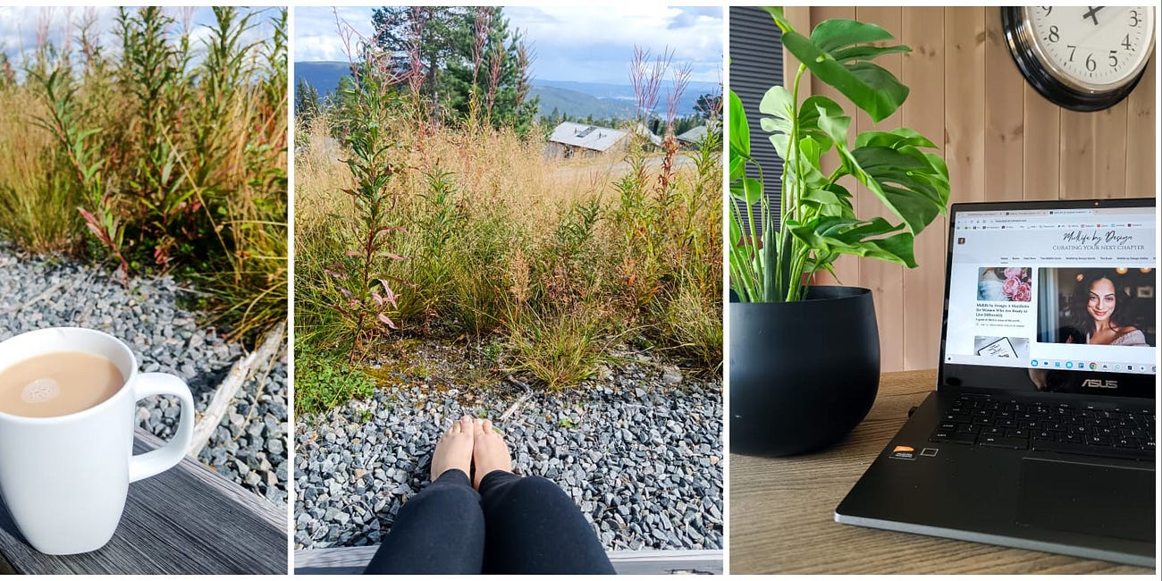 The Cabin Diaries - Day 6: Everything Under One Roof