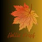Hallie Kropf's avatar