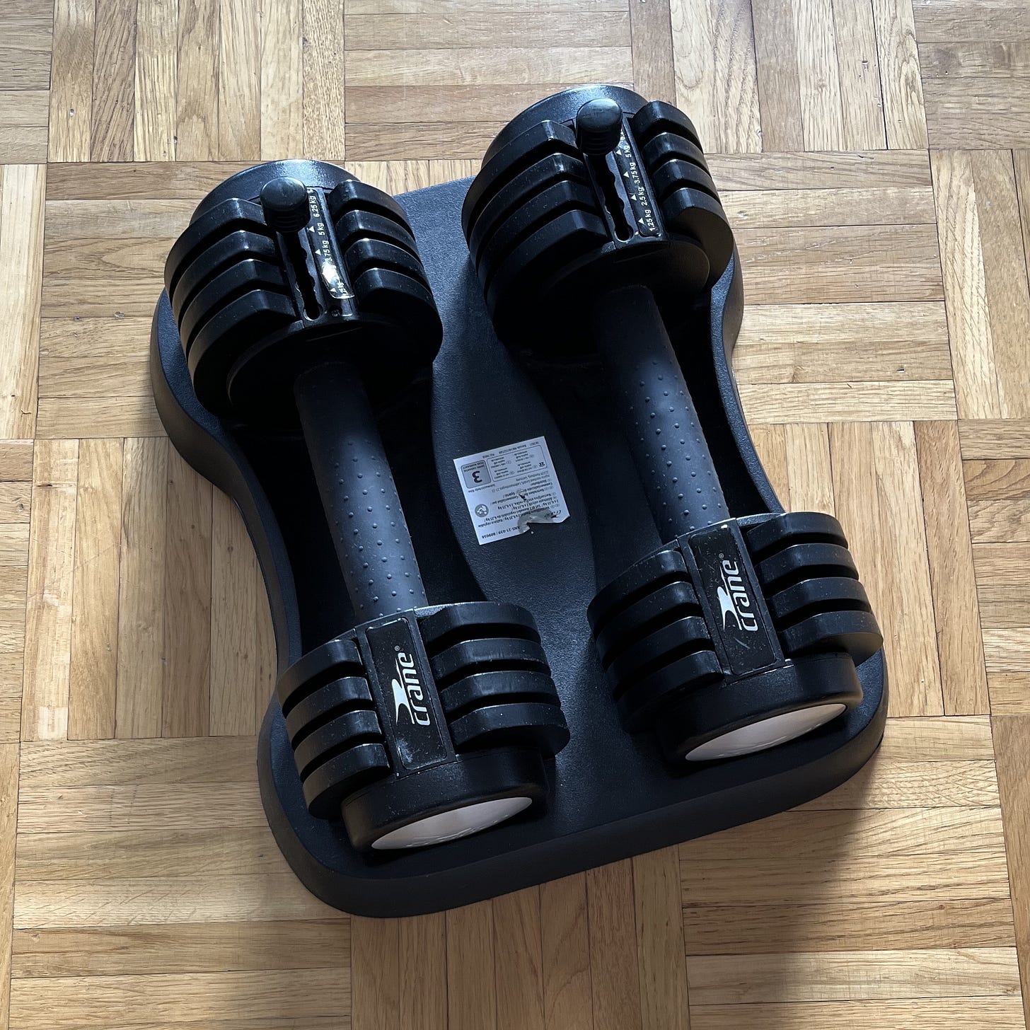 Adjustable dumbbells up to 6.25kg for home strength training for women over 35