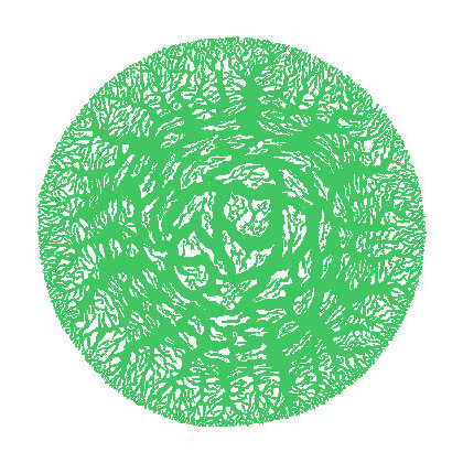 5 Semillas para tu Vida by Heike Freire