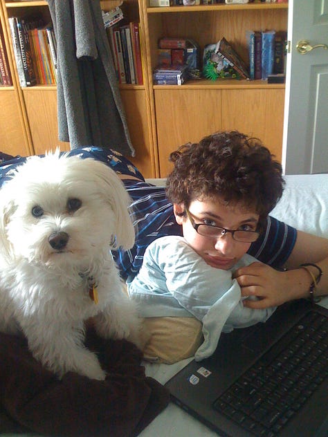 White Havanese with various family members who are all smiling