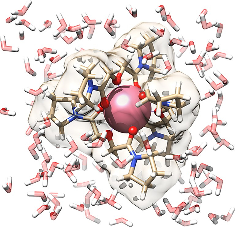 3D illustration of the Pm complex surrounded by water molecules.
