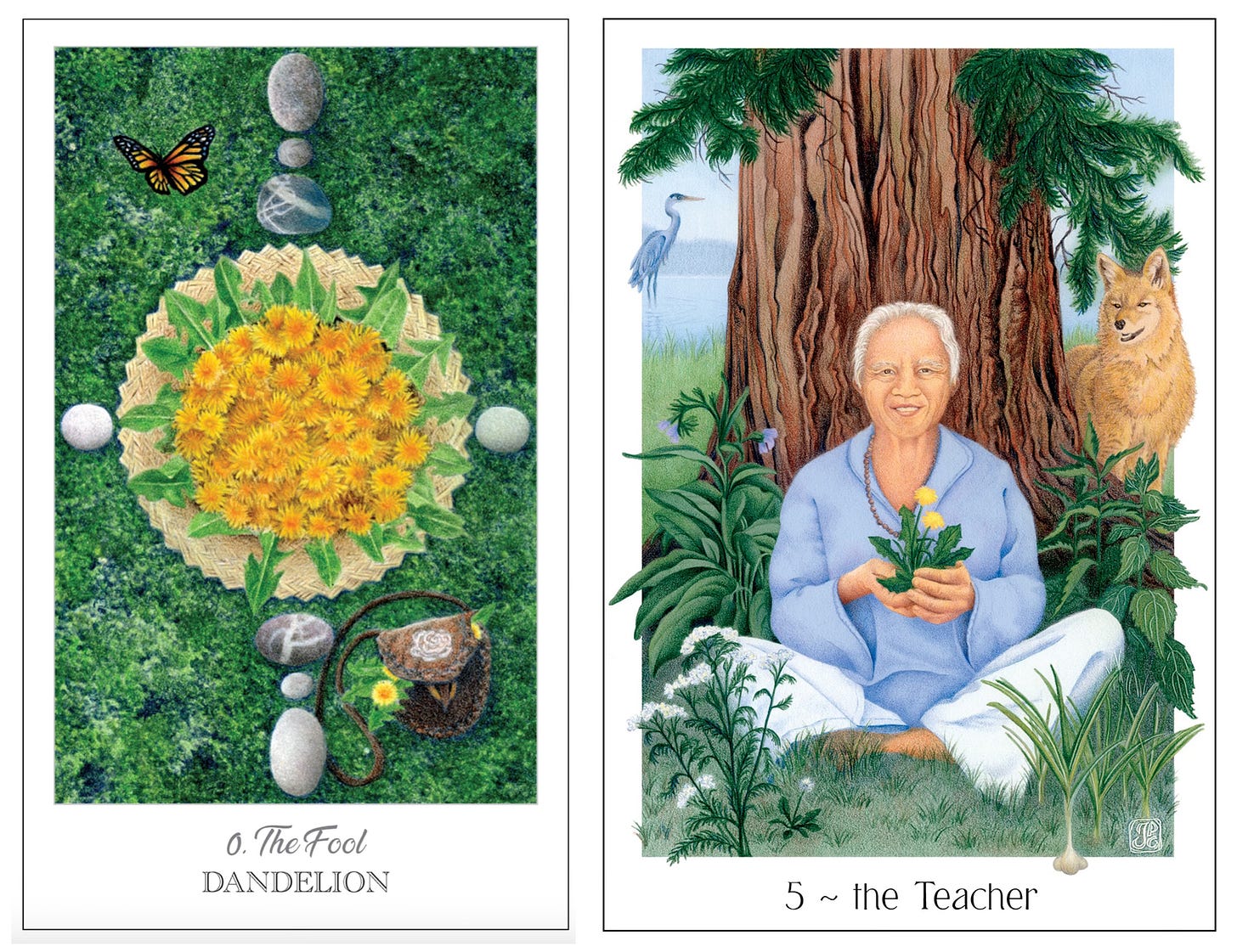 Dandelion the Fool + The Teacher Dandelion the Fool + The Teacher
