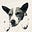 Rob Thomas's avatar