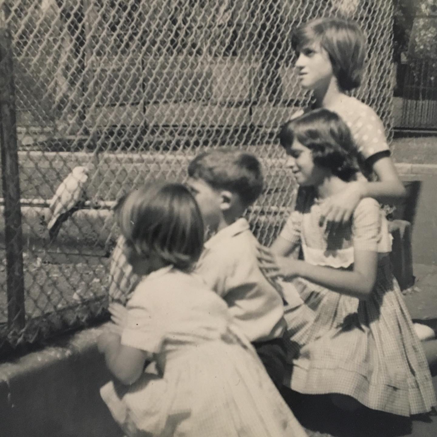 Macintosh HD:Users:gyan:Desktop:substack:81983222_10159272111228065_5225743428381310976_n.jpg