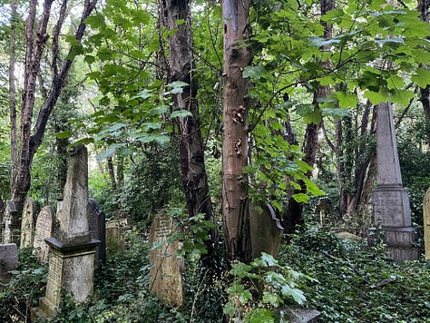 Gravestones upended by mass overgrowth